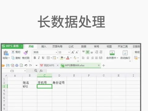 wps表格盘点 | wps表格排名次