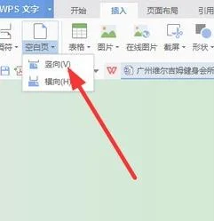 wps表格如何添加多个空白页