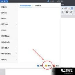 如何设置wps的选择项