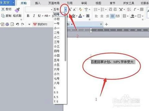 wps字体如何从大变小