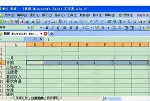 wps如何做账本表格