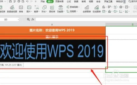 wps改变的尺寸 | WPS中想放入改变