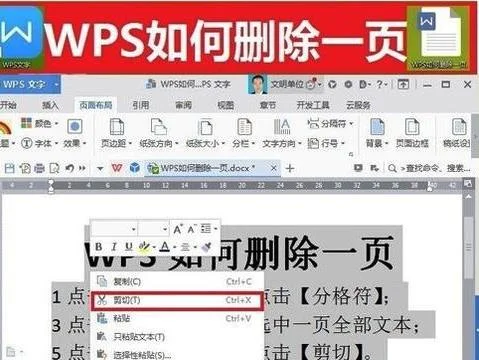 把wps多余的页删除不了 | WPS文档