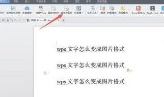 wps文字如何保存照片格式