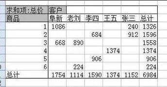 在wps使用数据透视表 | wps用数据