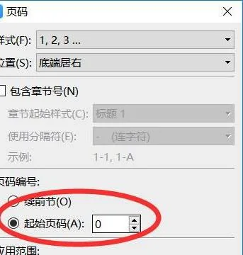 wps如何设置首页页码不显示