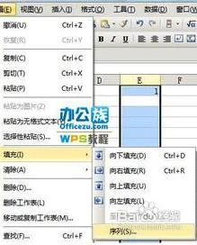 wps设置快速填充 | wps表格快速填充的快捷键是什么呢