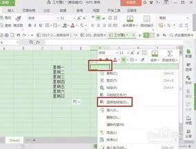 wps表格中一格打几行字 | wps表格,在一个格子里面弄2行字