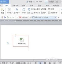 wps文档插入其他文档 | 样在WORD文