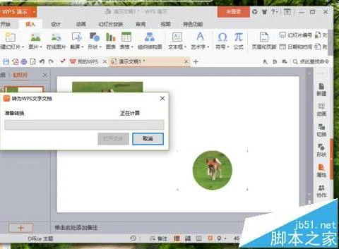 wps幻灯片如何转换成文档