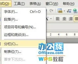 在wps中提前分栏 | 在word或wps中