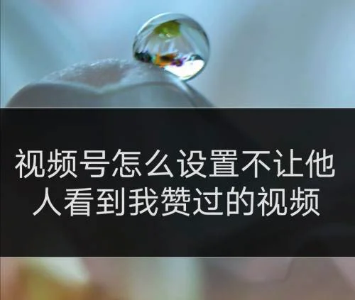 微信视频号怎么不展示我点赞的视频