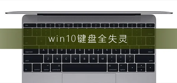 win10键盘全失灵win10键盘全失灵解