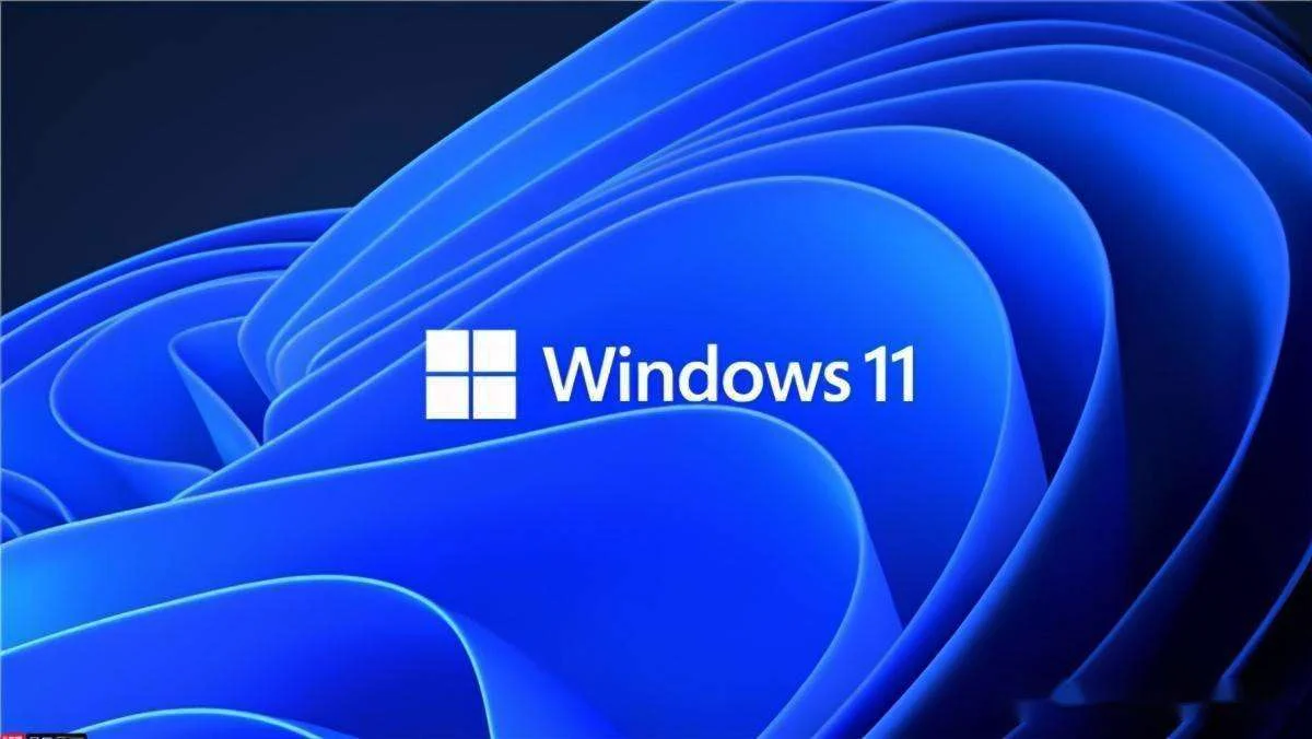 Win11升级后卡顿？Win11更新升级后必