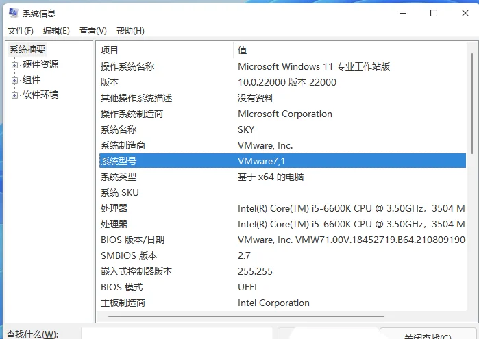 Win11怎么查看电脑型号？Win11查看电