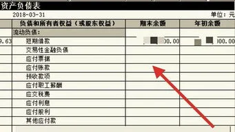 借方,贷方,报表,金蝶