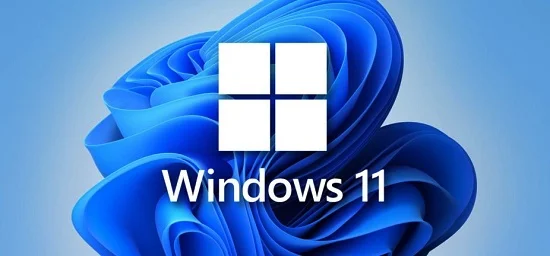 Win11家庭版和专业版哪个好 Win11