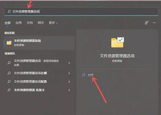 windows11系统文件后缀名怎么显示？ 