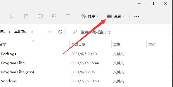 Win11怎么显示隐藏的文件？Win11显示