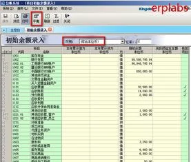 金蝶期初余额综合本位币 | 金蝶财