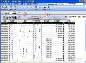 如何导出金蝶里某科目的明细 | 金