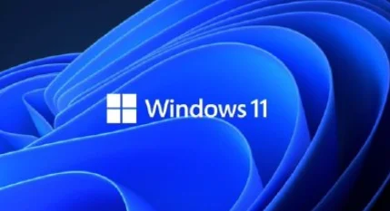 windows11 ie浏览器在哪里怎么打开