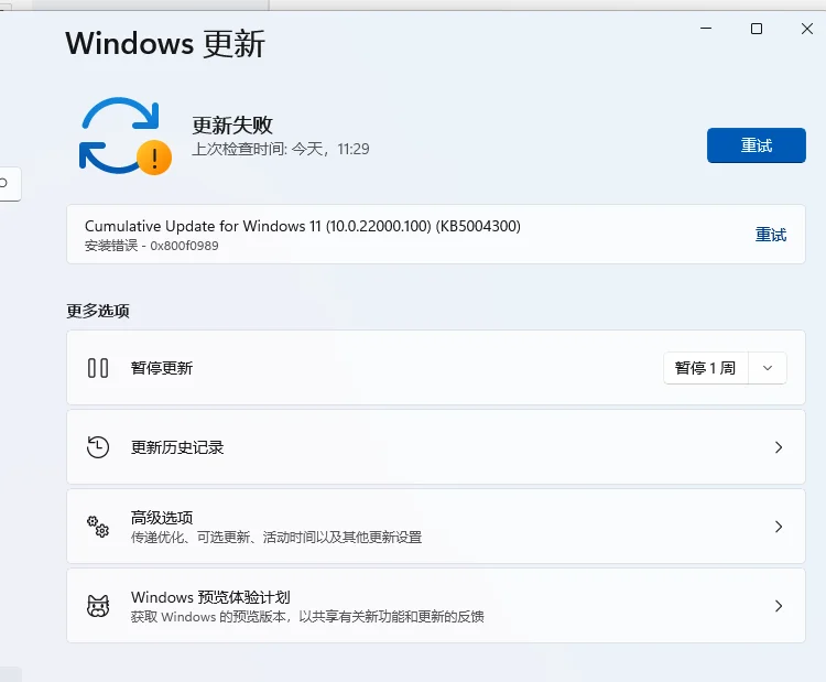 win11系统更新安装100版本提示“安