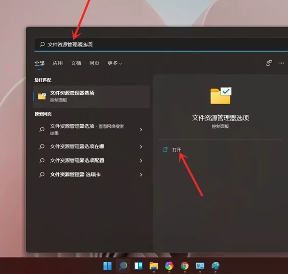 Win11后缀名隐藏了怎么打开？ | 后缀