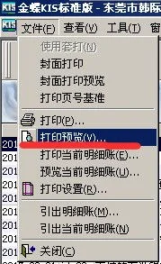 金蝶专业版明细账怎么全部打印