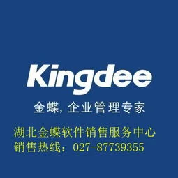 武汉金蝶软件代理公司招聘 | 光谷软件园哪个公司招实习生?