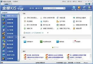 金蝶kis专业版网络版