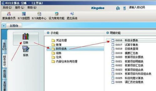 金蝶查询余额表二三级科目