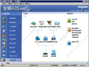 金蝶专业版15.1功能