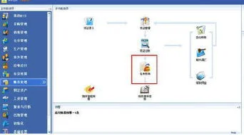 核算,科目,金蝶,录入