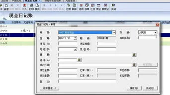 金蝶专业版在哪里查现金日记账 | 