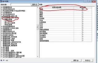 金蝶k3分组权限设置技巧