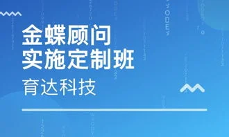 金蝶实施顾问建议女生做吗 | 我想未来去做ERP实施顾问,可是现在没有经验另外知识也够所以想先