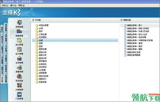 金蝶k3报表教程