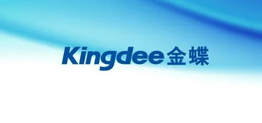 网盛科技与金蝶软件的发展历程对你有什么启示,网盛科技与金蝶软件的发展历程,网盛科技与金蝶软件的发展历程对我的启示