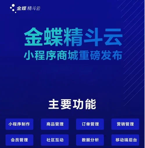 小企业财务软件著名金蝶精斗云