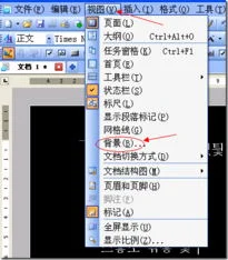 如何WPS设置底部写字 | WPS文字中