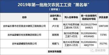 吉林省金蝶工资