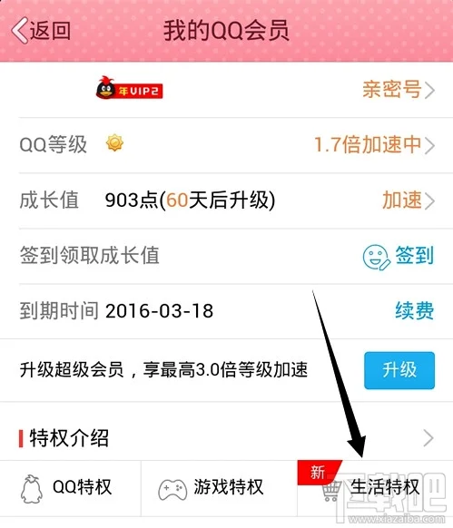 我的qq会员生活特权