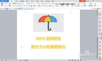 裁剪,大小,wps,pdf