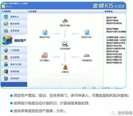 标准版,报表,金蝶,操作