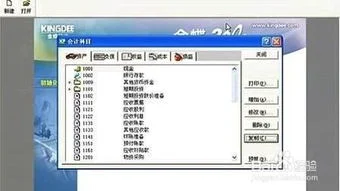 金蝶打印到文件怎么打开 | 金蝶软件套打使用说明有哪些?