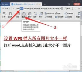 wps如何设置插入大小