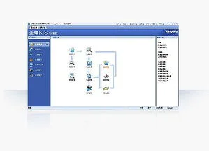 金蝶kis行政事业版反记账 | 金蝶KI