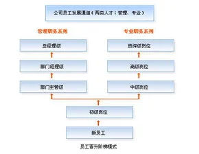 金蝶软件的发展前景 | 金蝶开发的