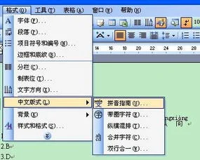 wps里如何标记拼音声调